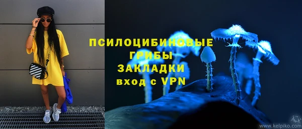 гидропоника Абаза