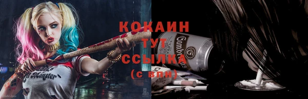 стаф Абинск