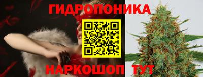 гашиш Канаш