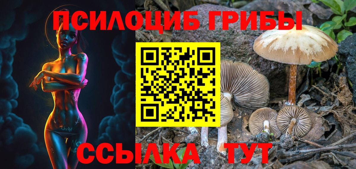 Саратов  Галлюциногенные грибы ЛСД  Вход с VPN  Галлюциногенные грибы Magic Shrooms 
