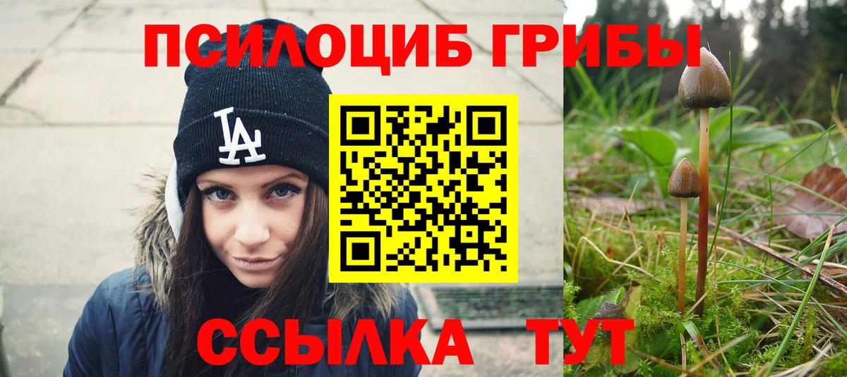 Псилоцибиновые грибы ЛСД Саратов