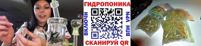 Шишки марихуана план  как найти закладки  Саратов 